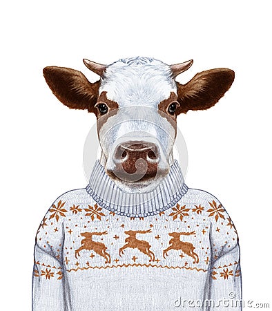 Animals as a human. Portrait of Cow in sweater. Cartoon Illustration