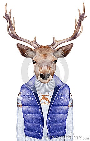 Animals as a human. Portrait of Deer in down vest and sweater. Cartoon Illustration