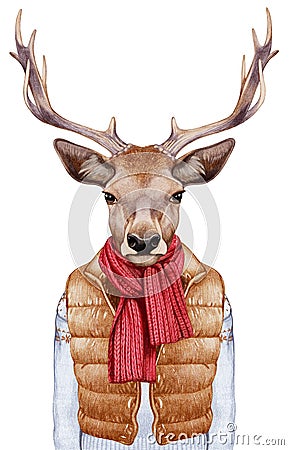 Animals as a human. Portrait of Deer in down vest, sweater and scarf. Cartoon Illustration