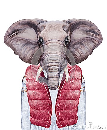 Animals as a human. Portrait of Elephant in down vest and sweater. Cartoon Illustration