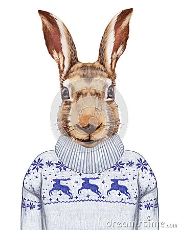 Animals as a human. Portrait of Hare in sweater. Cartoon Illustration