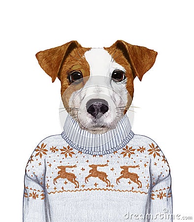 Animals as a human. Portrait of Jack Russell in sweater. Cartoon Illustration