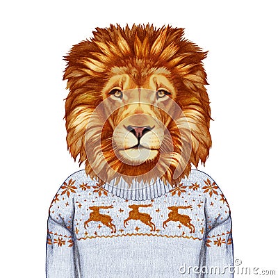 Animals as a human. Portrait of Lion in sweater. Cartoon Illustration