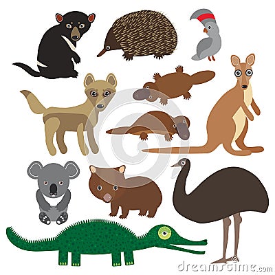 Animals Australia: Echidna Platypus ostrich Emu Tasmanian devil Cockatoo parrot Wombat crocodile kangaroo dingo. Vector Vector Illustration