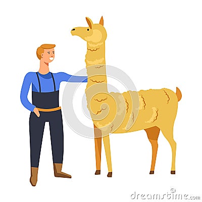 Animals breeding o n farm, male with llama Vector Illustration