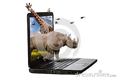 Animals Coming Out of a Laptop Screen Stock Photo
