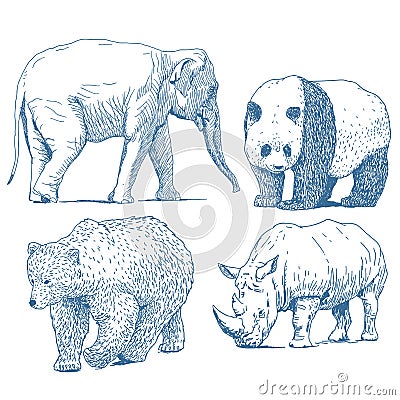 Animals drawings set Vector Illustration