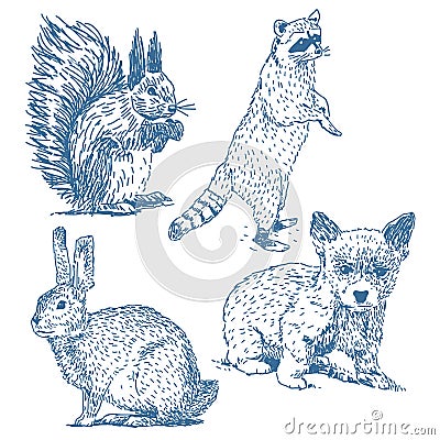 Animals drawings set Vector Illustration