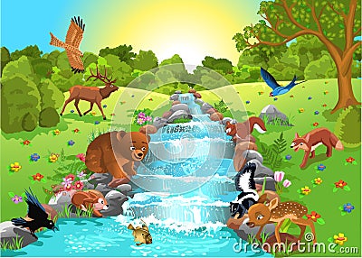 Animals drinking water Vector Illustration