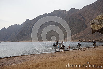 Riders on horseback gallop along the beach along the Red Sea in the Gulf of Aqaba. Dahab, South Sinai Governorate, Egypt Editorial Stock Photo