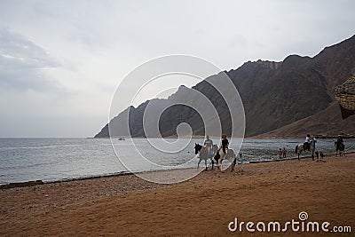 Riders on horseback gallop along the beach along the Red Sea in the Gulf of Aqaba. Dahab, South Sinai Governorate, Egypt Editorial Stock Photo