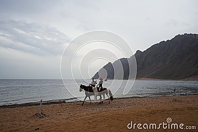 Riders on horseback gallop along the beach along the Red Sea in the Gulf of Aqaba. Dahab, South Sinai Governorate, Egypt Editorial Stock Photo