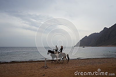 Riders on horseback gallop along the beach along the Red Sea in the Gulf of Aqaba. Dahab, South Sinai Governorate, Egypt Editorial Stock Photo