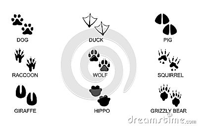 Animals footprints. Animal trails.Animal feet silhouette, frog footprint and pets foots silhouettes prints vector illustration set Vector Illustration