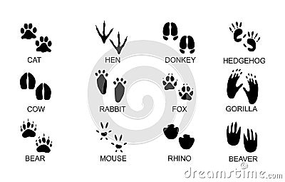 Animals footprints.Animal trails. Animal feet silhouette, frog footprint and pets foots silhouettes prints vector illustration set Vector Illustration