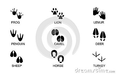 Animals footprints. Animal trails.Animal feet silhouette, frog footprint and pets foots silhouettes prints vector illustration set Vector Illustration