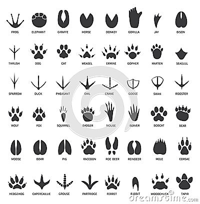 Animals footprints. Animal paws prints. Elephant and gorilla, bison and wolf. Cat, dog and deer, bear black foot tracks Vector Illustration