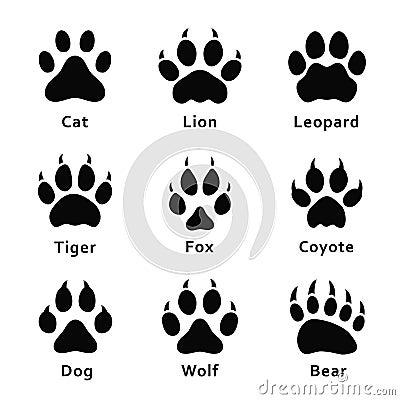 Animals footprints, paw prints. Set of different animals and predators footprints and traces Vector Illustration