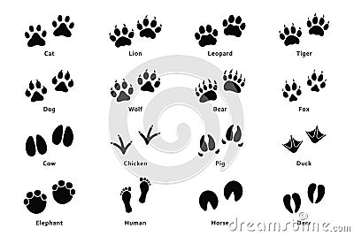 Animals footprints, paw prints. Set of different animals and birds footprints and traces Vector Illustration