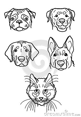 Animals Vector Illustration