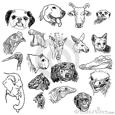 Animals head Vector Illustration