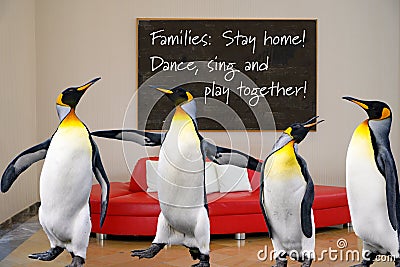 Covid-19 Coronavirus: Stay home! Dance, sing and play together for good mood. Dancing, singing, playing penguins for good example Stock Photo