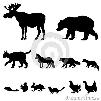 Animals living in european forest. Stock Photo