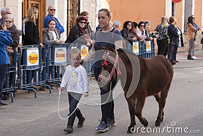 Animals parading through the streets Editorial Stock Photo