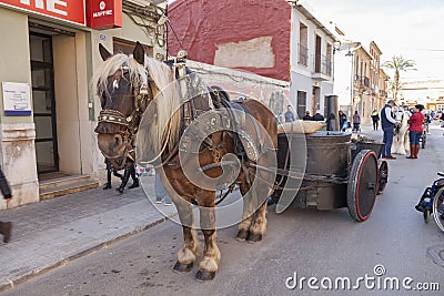Animals parading through the streets Editorial Stock Photo