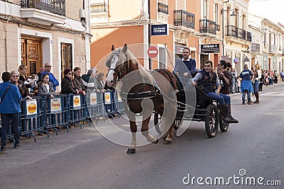 Animals parading through the streets Editorial Stock Photo