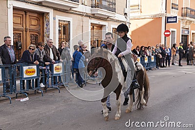 Animals parading through the streets Editorial Stock Photo