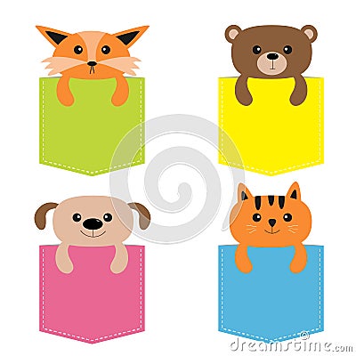 Animals in the pocket. Cute cartoon colorful dog, bear, fox, kitten kitty character. Dash line. Pet animal collection. on Vector Illustration