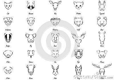 Animals set Vector Illustration