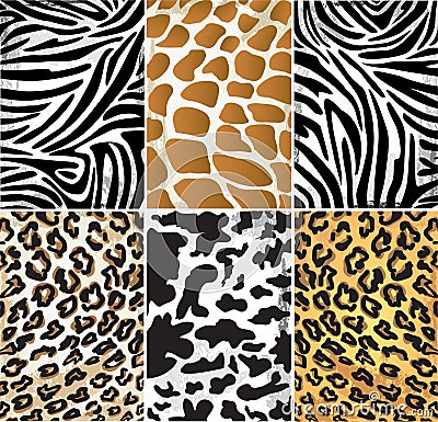 Vector illustration of animals skins. Fur set Vector Illustration