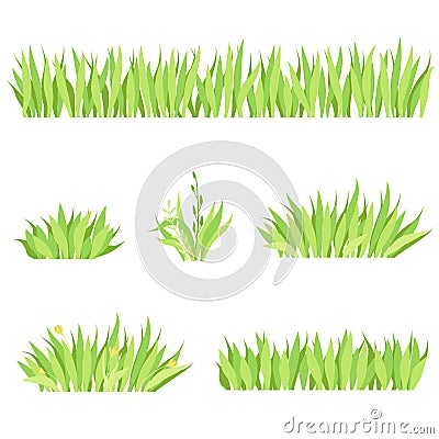 Set of different horizontal compositions of grass. Isolated garden lawn on a white background Vector Illustration