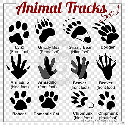 Animals Tracks - vector set Vector Illustration