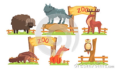 Animals in the Zoo Set, Bison, Wolf, Deer, Ant Eater, Fox, Owl Vector Illustration Vector Illustration