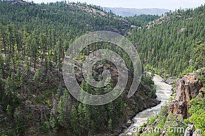 Animas River Stock Photo