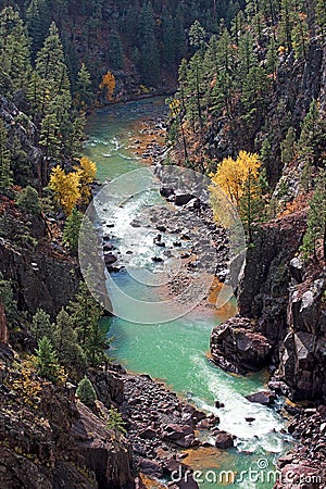 Animas River Gorge Stock Photo