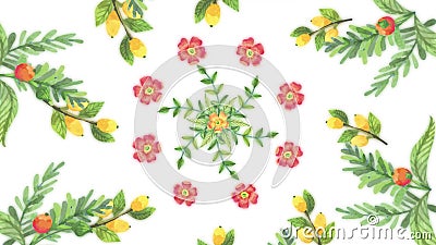 Animatie van het kweken van bloemen, bloemenachtergrond, bloeiende bloemen, botanisch patroon Decoratieve overgang met het groeie vector illustratie Animatie van het kweken van bloemen, bloemenachtergrond, bloeiende bloemen, botanisch patroon Decoratieve overgang met het groeie vector illustratie