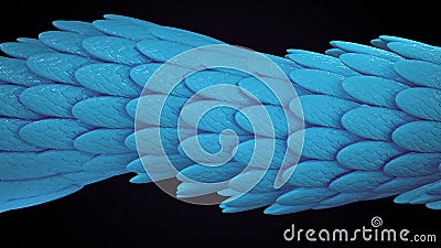 Animation of a crawling colored dragon on a black background. Animation. Seamlessly looping background of dragon Stock Photo