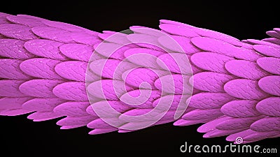 Animation of a crawling colored dragon on a black background. Animation. Seamlessly looping background of dragon Stock Photo