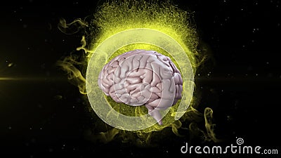 Animation of 3d Human Brain Rotating on Black Background. Stock Video -  Video of neurology, design: 175287877