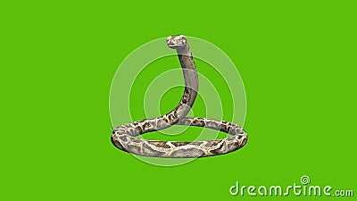 09 Animated Python Snake with Green Screen Background Stock Video - Video of python, green: 144323989 09 Animated Python Snake with Green Screen Background Stock Video - Video of python, green: 144323989