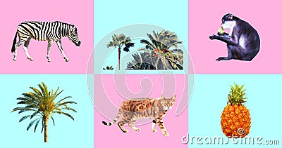 Animation Gif Set. Tropical Vacation Art Stock Video - Video of palm,  nonsense: 191400961