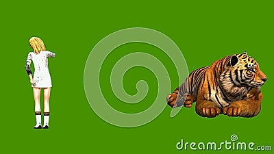 Tiger Stock Footage & Videos - 8,551 Stock Videos Tiger Stock Footage & Videos - 8,551 Stock Videos