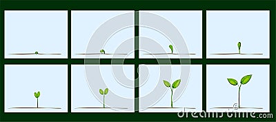 Animation of seed germination on soil Vector Illustration