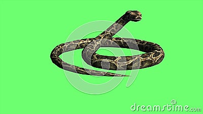 3D Animation of Snake Skin. Design. Looped Movement of Wriggling Snake  Stock Footage - Video of concept, moving: 230863486