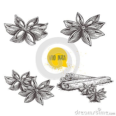 Anise star sketches set. Single, batch and composition with cinnamon sticks. Herbs and condiment retro style hand drawn collection Vector Illustration