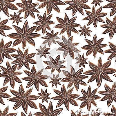 Anise star spices seamless pattern Stock Photo